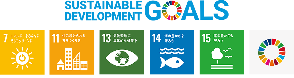 sdgs
